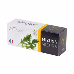 Véritable 3760262511276, Plantes comestibles, Mizuna, Remplir, Croissance rapide (3-5 semaines), 7 jour(s), 2 - 3 mois