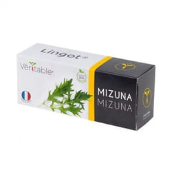 Véritable 3760262511276 kit de croissance et recharge Mizuna Remplir