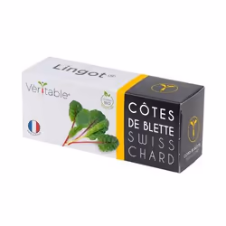Véritable 3760262511283, Plantes comestibles, Swiss chard, Remplir, Croissance rapide (3-5 semaines), 7 jour(s), 2 - 3 mois