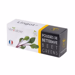 Véritable 3760262511290 kit de croissance et recharge Betterave Remplir