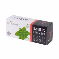 Véritable 3760262511337, Plantes comestibles, Basilique, Remplir, Croissance rapide (3-5 semaines), 7 jour(s), 4 - 6 mois