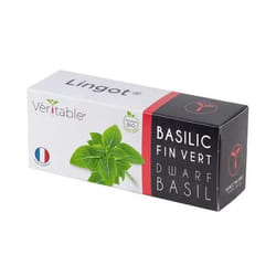 Véritable 3760262511337 kit de croissance et recharge Basilique Remplir