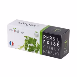 Véritable 3760262511351, Plantes comestibles, Persil, Remplir, Croissance rapide (3-5 semaines)