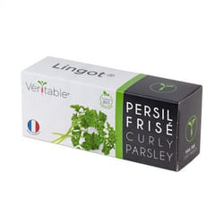 Véritable 3760262511351 kit de croissance et recharge Persil Remplir