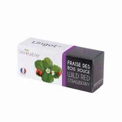 Véritable 3760262511368, Plantes comestibles, Fraise, Remplir, Croissance lente (8-12 semaines)