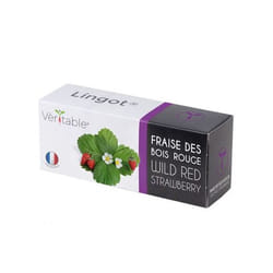 Véritable 3760262511368 kit de croissance et recharge Fraise Remplir