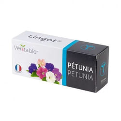 Véritable 3760262511412 kit de croissance et recharge Petunia Remplir