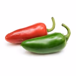 Véritable 3760262511665 kit de croissance et recharge Piment Remplir