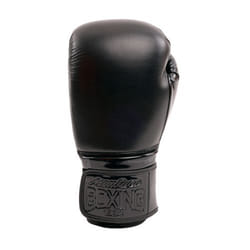Gants de boxe Montana Victory