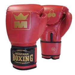 Gants de boxe Montana X-Perience