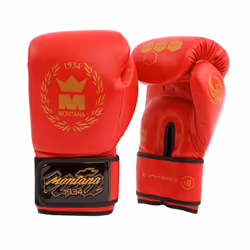 Gants de boxe Montana X-Perience