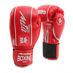 Gants de boxe Montana Hawk
