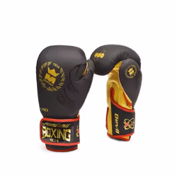Gants de boxe Montana Devil Phoenix