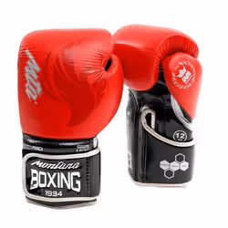 Gants de boxe Montana X-Boxing Phoenix