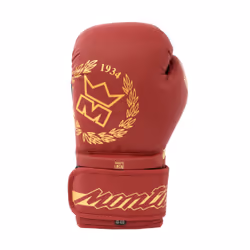 Gants de boxe entraînement Montana Energy Legend