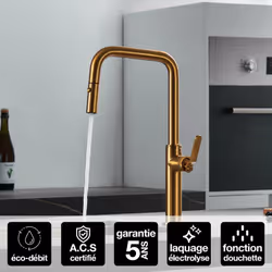 Mitigeur de cuisine avec douchette extractible double jet NIZA GCE027 Un design sophistiqué et une technologie de pointe pour ...