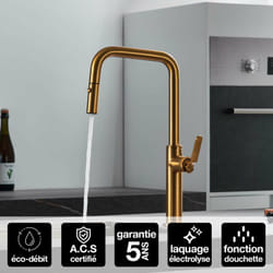 Robinet Mitigeur de Cuisine anti-calcaire avec Douche anti-calcairette Or Brossé imex niza GCE027/OC
