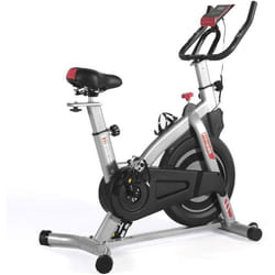 ISE Velo Biking Spinning MagnetiqueVelo dappartement Interieur Entrainement avec Porte-Bouteille Volant+Roue inertie 8kgSY-7020