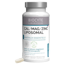 Biocyte Longevity Cal/Mag/Zinc Liposomal 60 Gélules