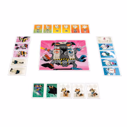 Blackrock Games Super cats, Jeu de société, 8 an(s), Jeu familial