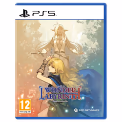 Take-Two Interactive Les Chroniques de la guerre de Lodoss : Deedlit au Labyrinthe des merveilles, PlayStation 5, Support phy ...