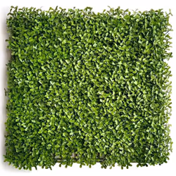 Description générale Découvrez notre mur végétal artificiel vert, idéal pour apporter une touche de fraîcheur à votre jardin ...