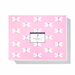 Coffret Libellule Mademoiselle Petite 4 pcs