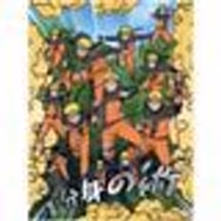 Décoration murale - NARUTO - Poster GOLDEN 30x40cm - Or - Argent - Littographie