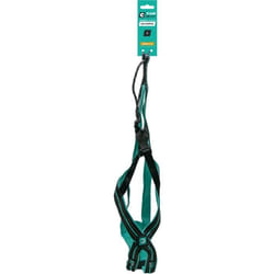 Olympia - Harnais De Traction Pour Chien S - Type X-back - Bleu