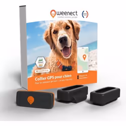 Weenect Chien XS - Mini Traceur GPS pour Chien en Temps réel Etanche Garantie à Vie