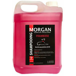 Morgan - Shampoing protéiné Framboise : 5 litres