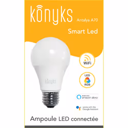 Konyks ANTALYA A70 ampoule LED 10 W E27 F