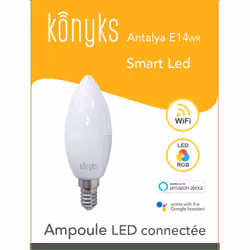 Konyks ANTALYA ampoule LED 4,5 W E14 F