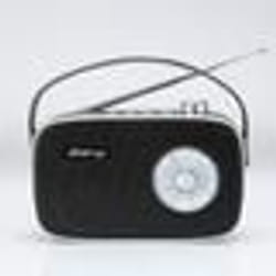 Radio rétro AM/FM - HALTERREGO - Modèle Halterrego - Bluetooth V5.0 - Lecteur USB - 3w RMS