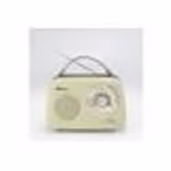 Radio Halterrego Enceinte Radio retro RMS 5W Bluetooth Radio FM lecteur USB Aux IN Batterie rechargeable vert olive