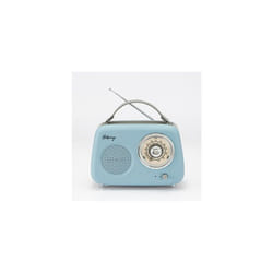 Enceinte/Radio rétro HALTERREGO  RMS 5W Bluetooth Radio FM lecteur USB Aux IN Batterie rechargeable Blue gris