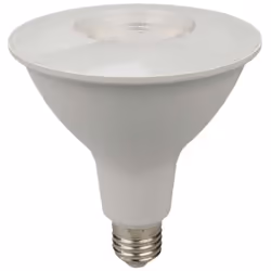 Lampadina LED Chip Samsung E27 12,8W PAR38 6500K