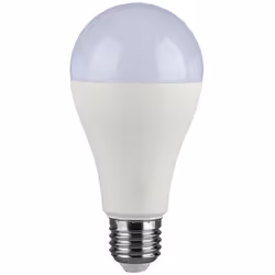 Lampe LED E27 15W A65 4000K