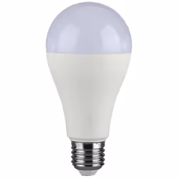 Lampe LED E27 15W A65 6400K