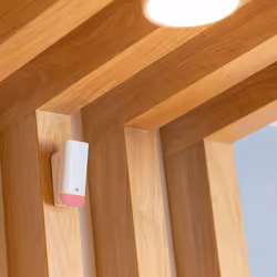 Shelly Motion 2 Sans fil Mur Blanc