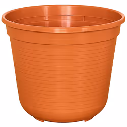 Pflanztopf Standard 18cm terracotta Montant du contenu: 20 pièce par Pack Couleur terracotta Taille de l'emballage 20