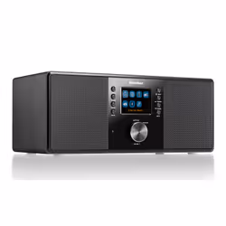 Kärcher DAB 7000I Radio portable Internet Numérique Noir