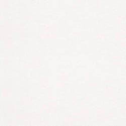 Rasch Papier peint intissé Tropical House 167009 0.75 x 10 m Uni Blanc