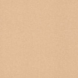 papier peint intissé 252866 papier peint intissé uni 53 x 1005 cm Rasch Bambino XIX marron