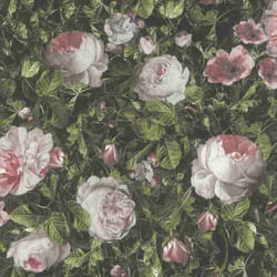 Rasch Selection 278316 Papier Papier peint Floraux 0.53 x 10.05 m vert fuchsia