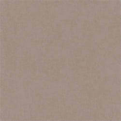 papier peint en papier 285116 crépi 53 x 1005 cm Rasch Selection marron