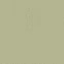 Papier peint intissé 423938 papier peint intissé uni 53 x 1005 cm Rasch Unsere Besten 2022 vert