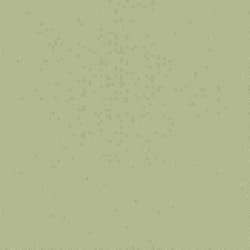 Papier peint intissé 423938 papier peint intissé uni 53 x 1005 cm Rasch Unsere Besten 2022 vert