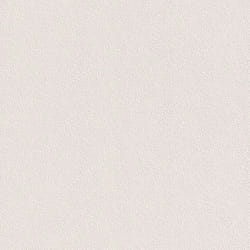 Rasch Papier peint 475517 - Papier peint intissé uni blanc avec structure grattée aspect résille - 1005 m x 53 cm L x l