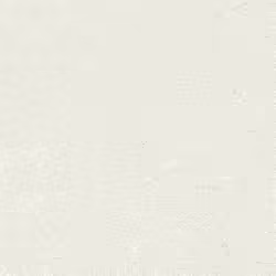 Rasch - 507041 - paperhangings Tapetenwechsel II Papier peint non tisse Blanc 1005 x 053 m